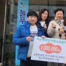 더쉼터