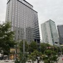 서울인마이백 이미지