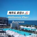이호랑37 | 제주도 여름여행 | 신라스테이 플러스 이호테우, 디럭스 패밀리 더블 가든뷰, 수영장, 조식 내돈내산 후기