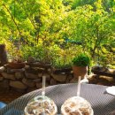 카페쿠시 이미지