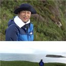 거기가 이미지