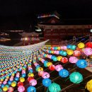 삼광사 Daum카페
