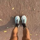 아디다스 런닝화 보스턴13 한달동안 신어본 후기 (+ Evo SL) 이미지