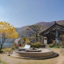 더 정감 이미지