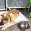 세븐일레븐 산운마을점 이미지