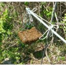 자연1호 이미지