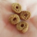 엣지퍼피 이미지