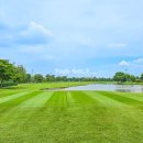 그린밸리 이미지