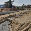 여주-0203 이미지