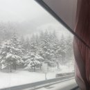 UR(강릉시)-[주문로]-하-2 | 진짜 오랜만에 쓰는 강릉 여행 후기(강릉툇마루,강문해변)