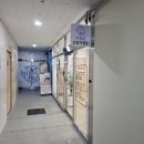 이영수 고양이 병원 | 인천고양이병원 이영수고양이병원에서 기침진료, 항체가검사까지 받은 후기