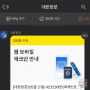 헬로 1204 | 대한항공 제주행 탑승기 KE1293 / KE1204 창가좌석 비행기 날개샷