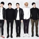 92잔나비