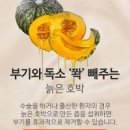 호박 - 강동구 양재대로147길 18 | 호박