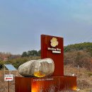 용인 신상카페 애견동반 가능한 몽키리코
