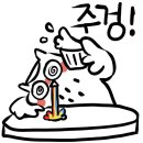 돈내코힐 리조트 이미지