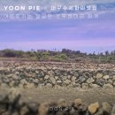 윤파이 이미지