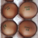 참샘골농장 이미지