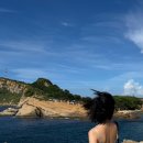 딩굴댕굴 이미지