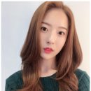 헤어101 이미지