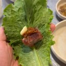 양지주먹고기 이미지