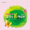 창원 고향의 봄 예술제 노컷뉴스