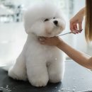 우다다포토