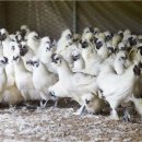 백봉호텔 이미지