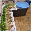 석봉태권도장 이미지