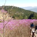 무학산(761.4m), 대곡산(516m) / 창원시 마산합포구 이미지