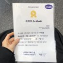 인천 스펙타클 유니버시티 6기 종강 + 그 후 이야기