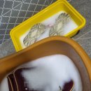 박문유치원 | 다시소 손빨래템, 바르는 테크 직접 써본 솔직후기