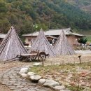 고라데이민박 이미지