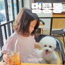 멍뭉몽 이미지