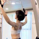 자이로토닉에코 이미지