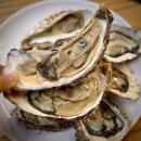 육지와바다 이미지