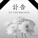 법무법인민우