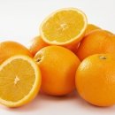 오렌지 이미지