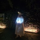 (야간)타로 | 제주도 야경 스팟 루나폴 제주도 서귀포 야간 명소