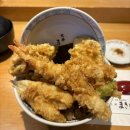 오사카 찐맛집 추천 ✈️ : 이치란라멘, 하나타코, 스시일심, 야바톤, 가고노야 스키야끼, 덴푸라마키노 텐동