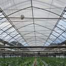 생림돼지국밥 이미지