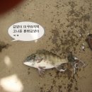 사계절하우스 - 군산시 장자도1길 28-2 | 사계절하우스