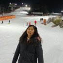 리라태권도 이미지