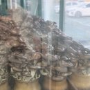 굿마트 용인약수점 | 용인 맛집]용인 신갈동 샤브샤브에 버섯을 무제한으로 즐기는 청년농부버섯농장/어린이버섯칼국수...