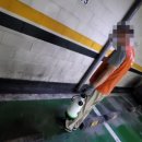 에메랄드빌딩 이미지