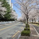 옥곡동 강변도로 이미지