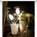 와인터널 이미지