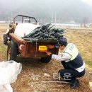 청일파출소 이미지