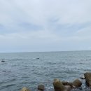 남나리전복 이미지