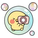 백조크리닝 이미지